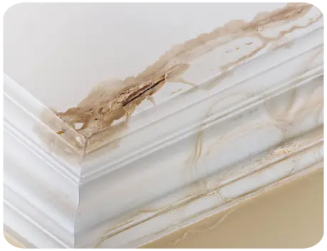 Infiltration d'eau toiture Le-Palais-sur-Vienne 87
